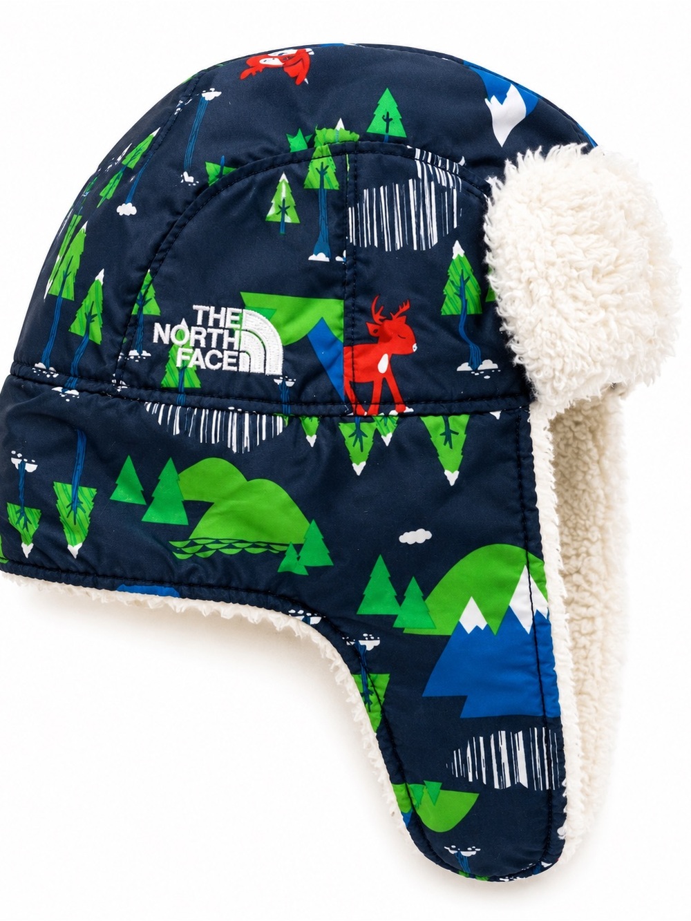 the North Face Kids Sherpa Trapper Winter